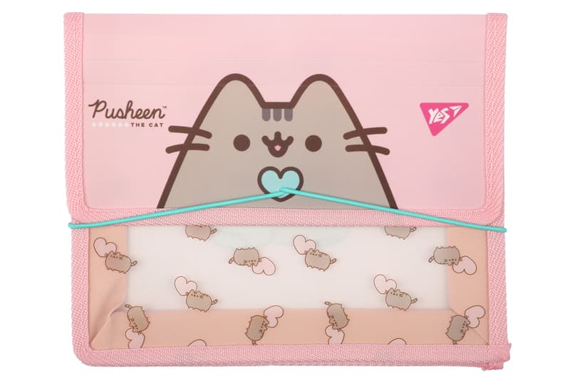 Папка для зошитів YES пласт. на резинці В5 "Pusheen"  492306
