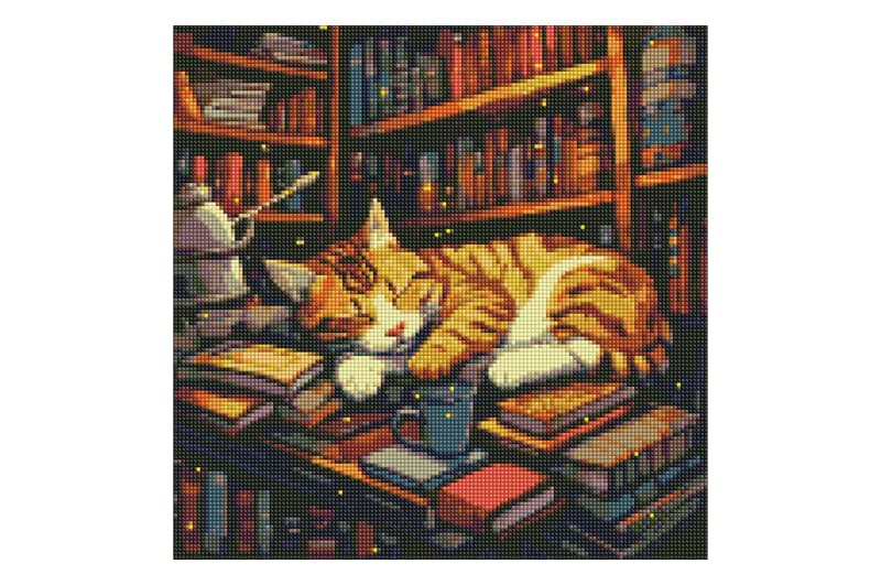 Набір з алмазною мозаїкою 40x40 см AMO7648 "Пухнастий книголюб" з АВ стразами Ideyka