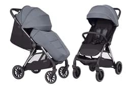 Прогулянкова коляска CARRELLO Delta CRL-5517 Flint Grey 2024