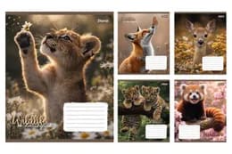 Зошит 24 Клітинка 769146 "Wildlife is beautiful" 1Вересня