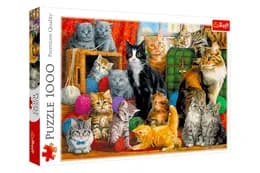 Пазли - 1000 елм. - 10555 "Зустріч котиків", Trefl