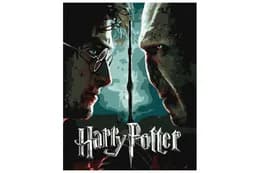 Набір для розпису по номерах KHO5222 WB "Harry Potter: Гаррі та Волдеморт з фарбами металік extra" 40х50см IDEYKA