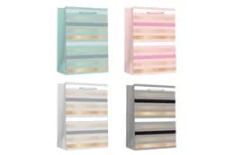 Пакет паперовий LARGE Line 760431ML 26x12,7x32,4, 210gsm,асорті MALEVARO